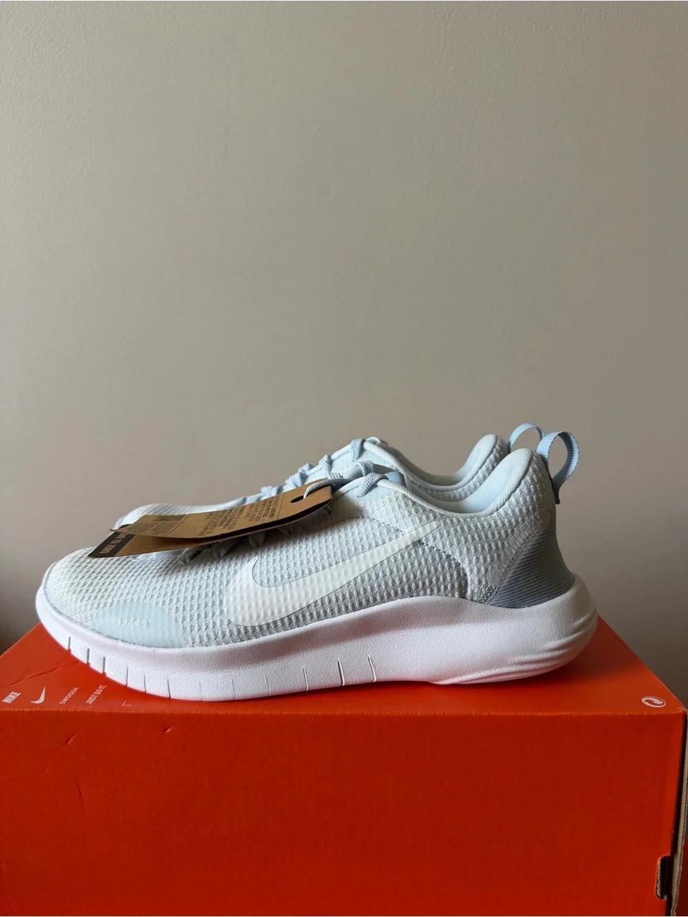 Nike Flex Experience Run 12 Blue Tint DV0746-400 Women’s Size 5.5